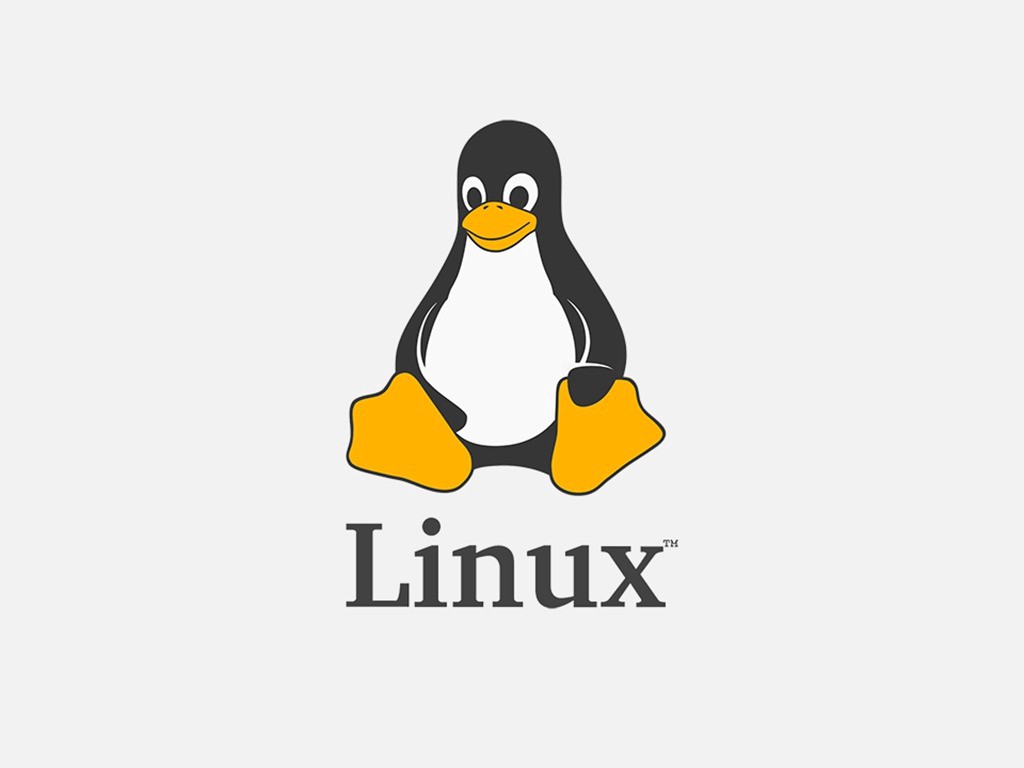 Linux幾個必學指令 